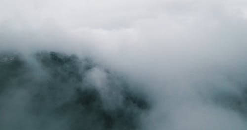 Aerial Shot of a Landscape