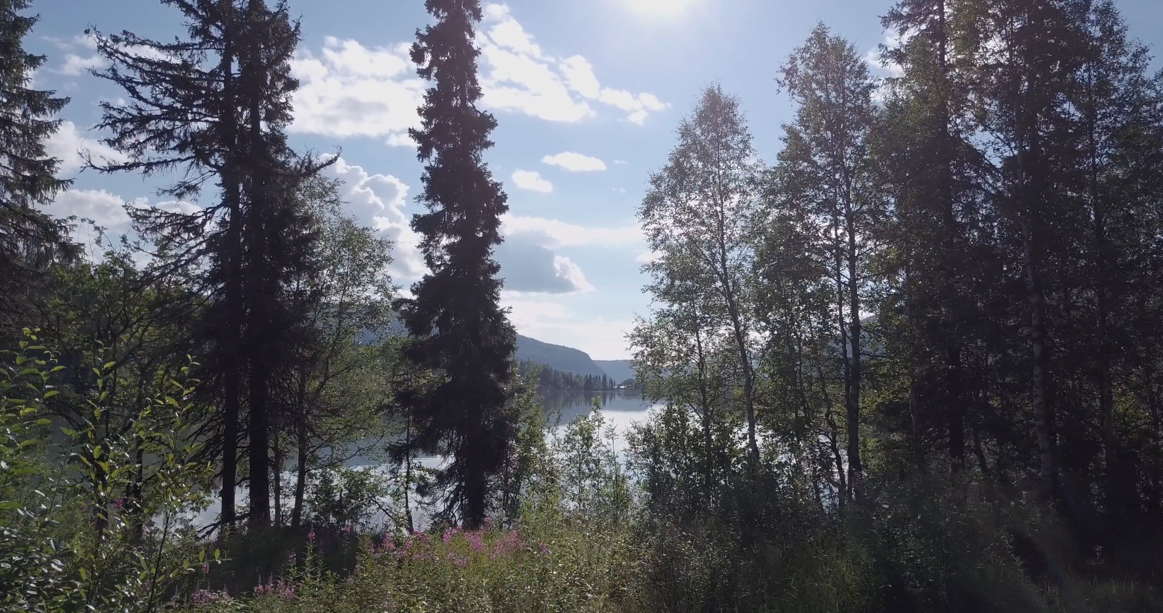 Drone Footage of a Lake Free Stock Video Footage, Royalty-Free 4K & HD ...