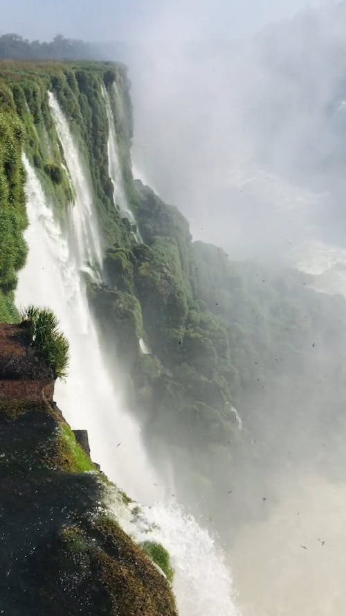 Close Up Shot of a Water Falls