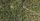 green trees