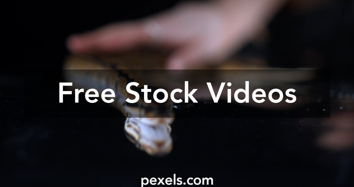 126 Snake Game Pixel Stock Video Footage - 4K and HD Video Clips