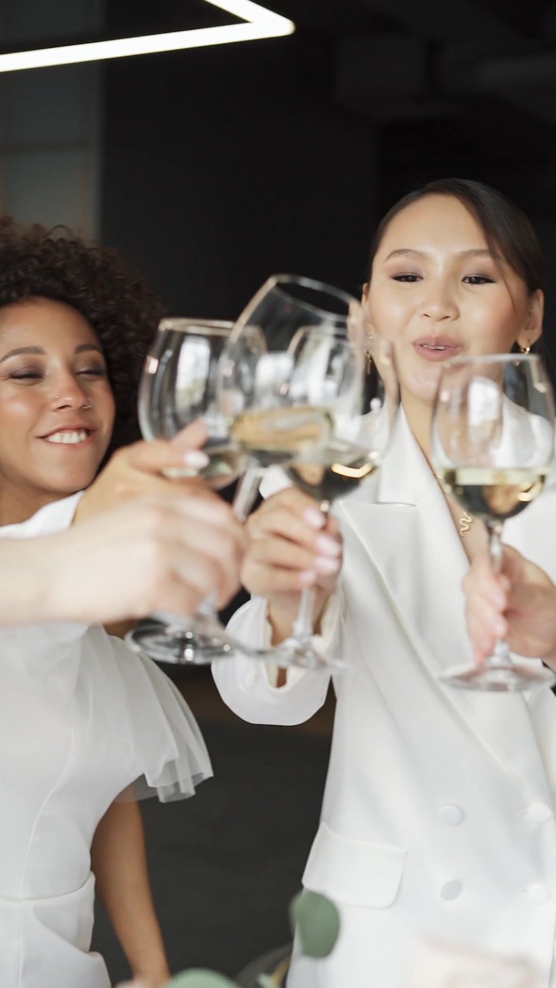Beautiful Women Having a Toast Free Stock Video Footage, Royalty-Free ...