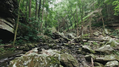 Drone Footage of a Picturesque Outdoor Environment