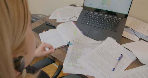 A Woman Looking at the Documents