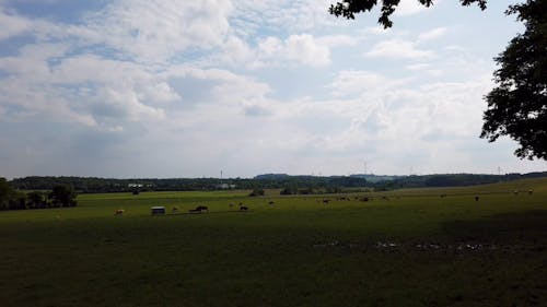 Panoramic View of a Farmland