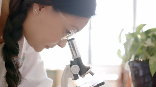 A Woman Looking Through the Microscope