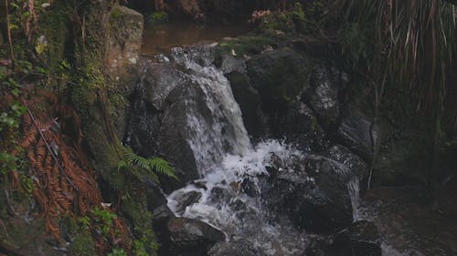 Mini Waterfalls 