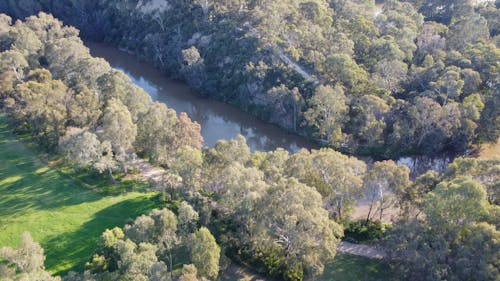 Aerial View of a River in the Forest on the Outskirts of the City