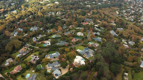 Aerial View of Houses Surrounded by Trees
