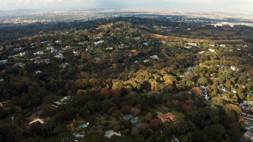 Drone Shot of a City with Dense Vegetation