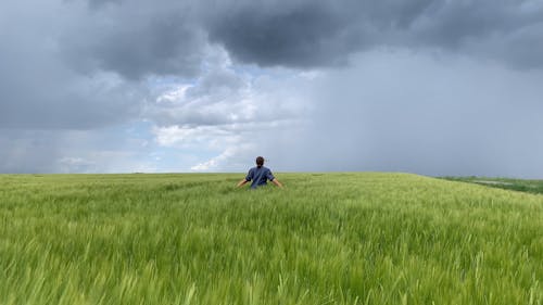 A Woman Running Through the Wheat Field