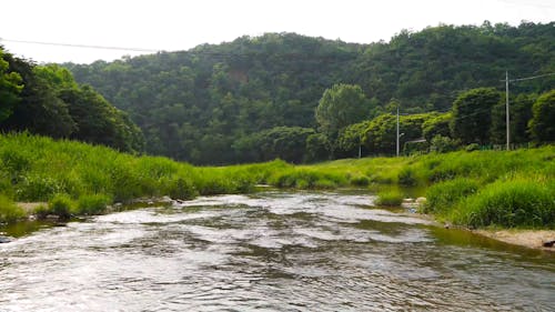 Water Flowing in a River