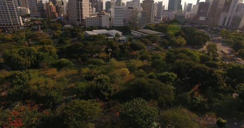 Drone Footage of a Park and High Rise Buildings
