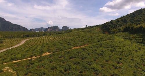 Aerial Video of a Vast Land