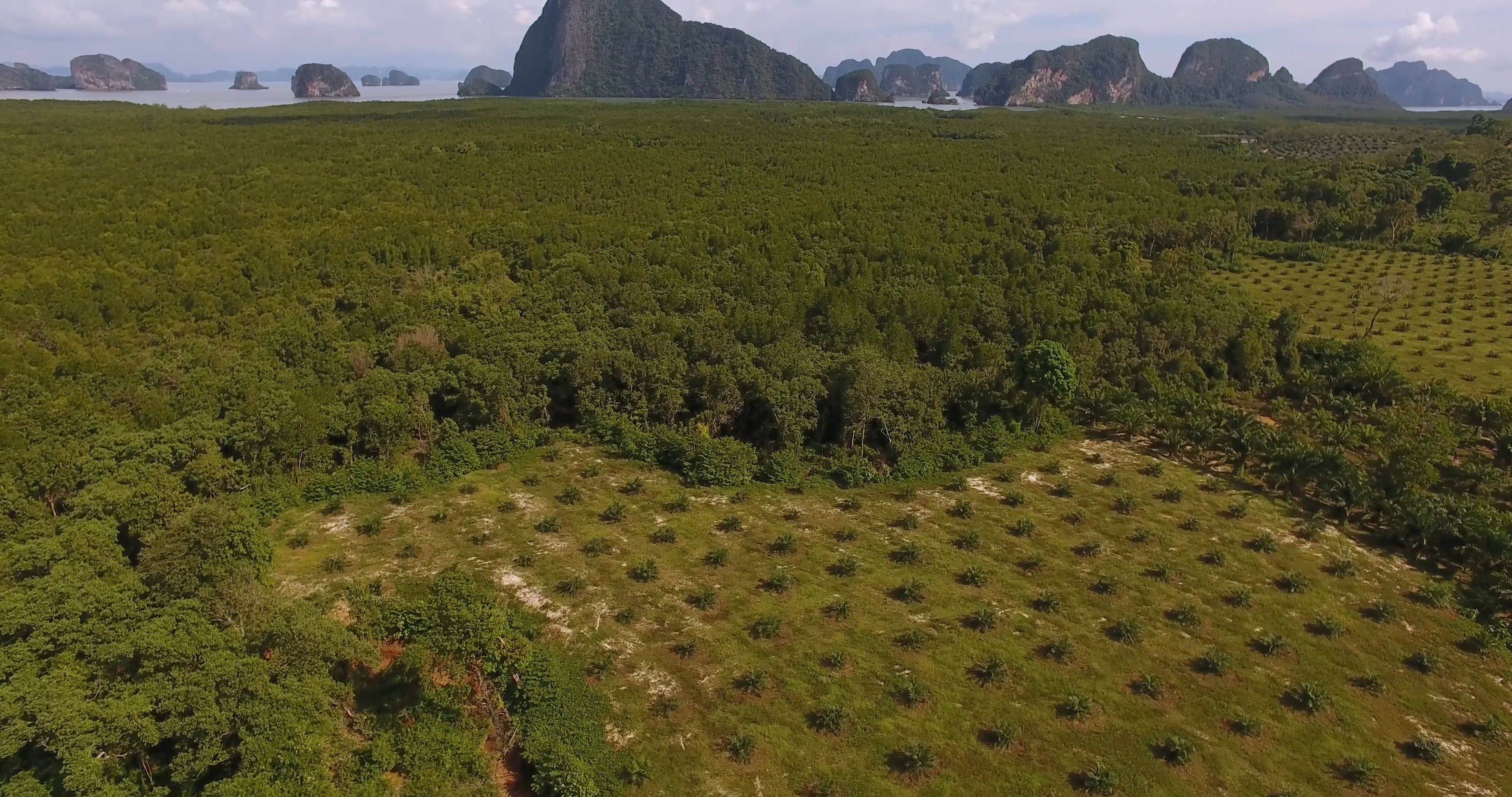 Drone Footage of Green Trees and Mountains by the Sea Free Stock Video ...