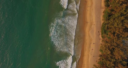 Birds Eye View of a Beach