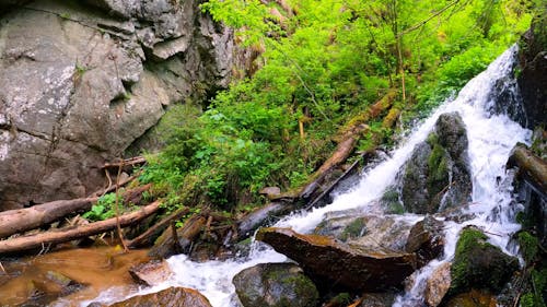 Water Flowing on Mossy Rocks