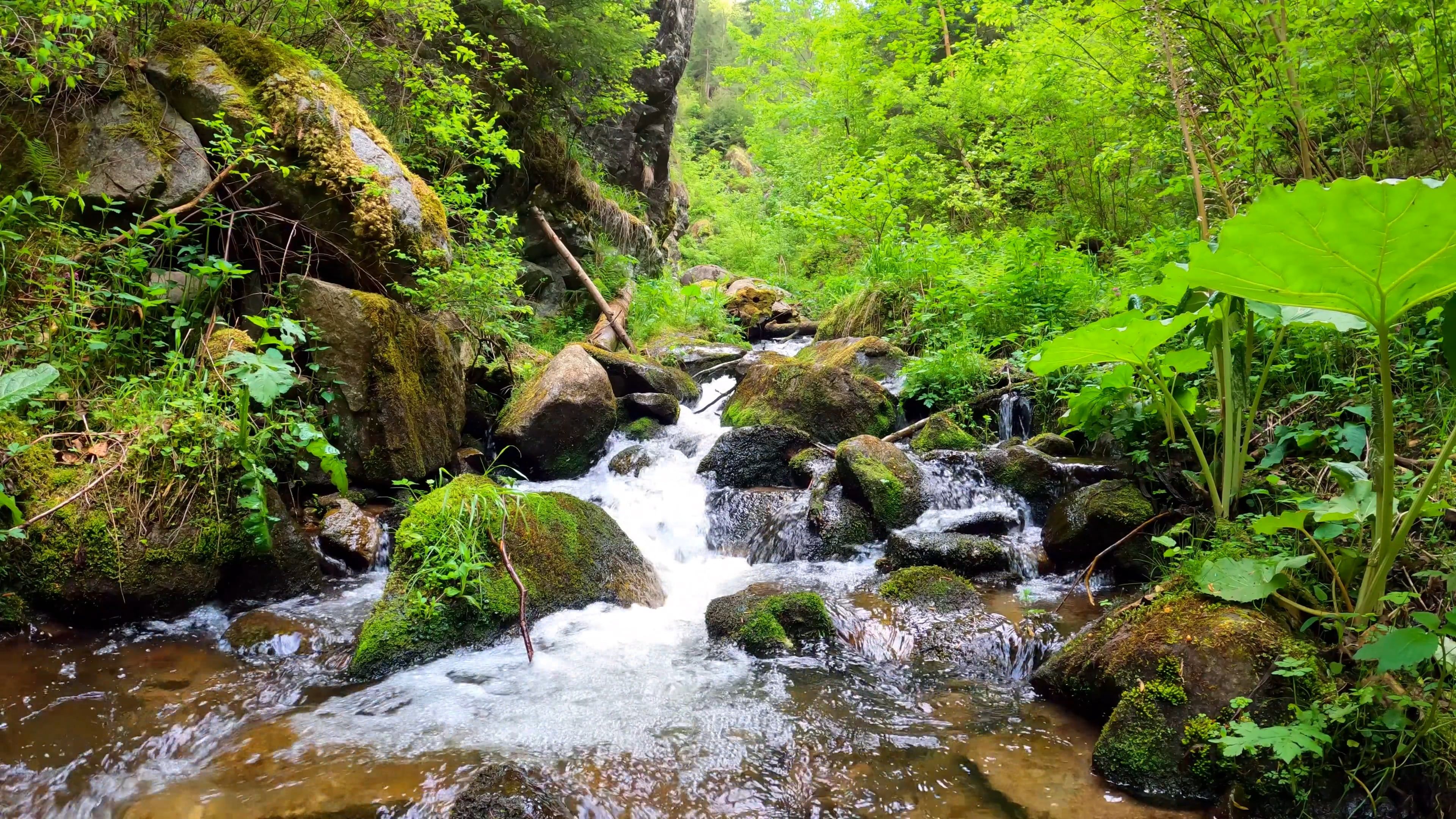 Water Flowing in the River Free Stock Video Footage, Royalty-Free 4K ...