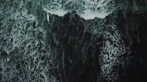Video of Ocean Waves