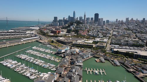 Aerial View of the Port in the City
