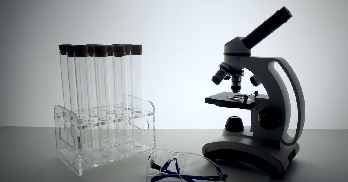 Laboratory Tools And Equipment Free Stock Video Footage, Royalty-Free ...