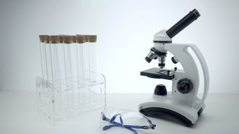 生物实验室高清视频高清视频视频素材