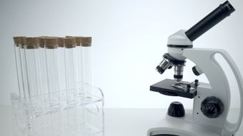 科研视频素材免费下载免费下载高清视频视频素材