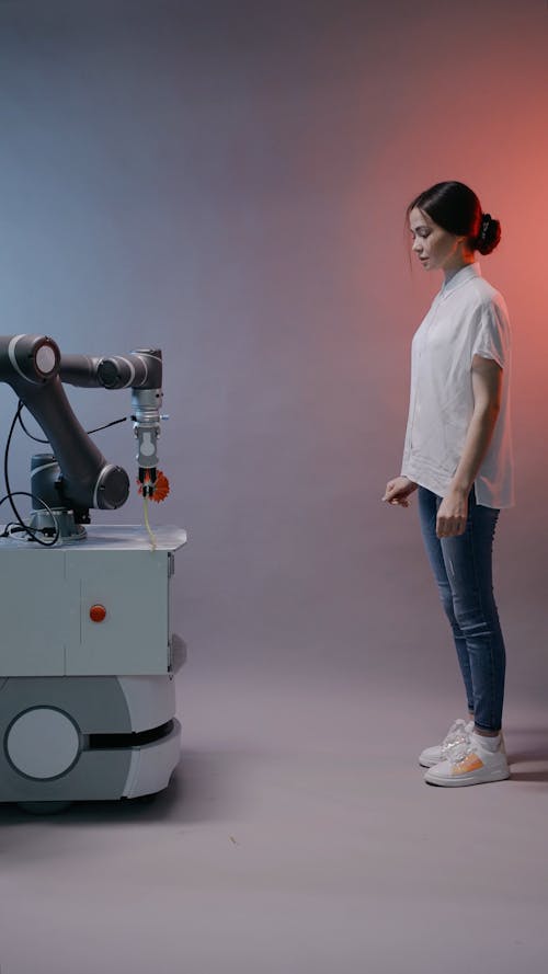 Robot Giving Flower To A Woman