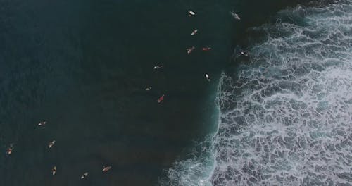 Surfers In the Water