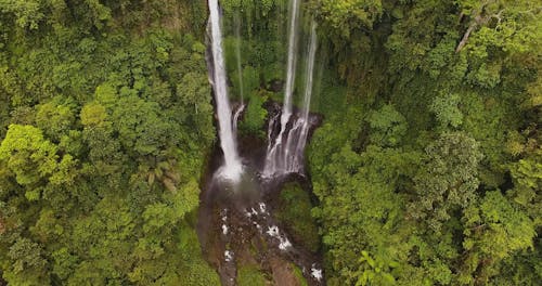 Cascading Waterfalls in a Mountain Forest