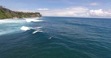 people surfing on beach
