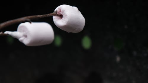 Marshmallows on Sticks 