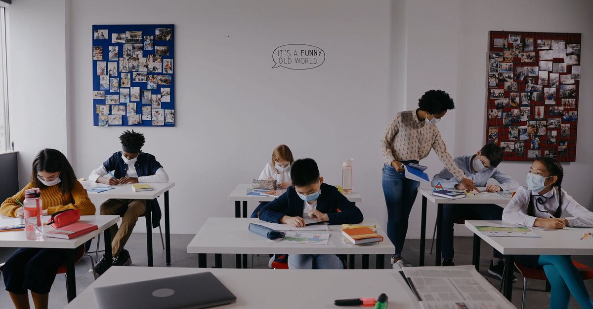 Students Studying Inside the Classroom Free Stock Video Footage ...