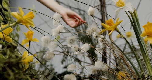 A Person Touching Flowers