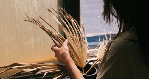 A Person Putting Dried Palm Leaves in a Vase