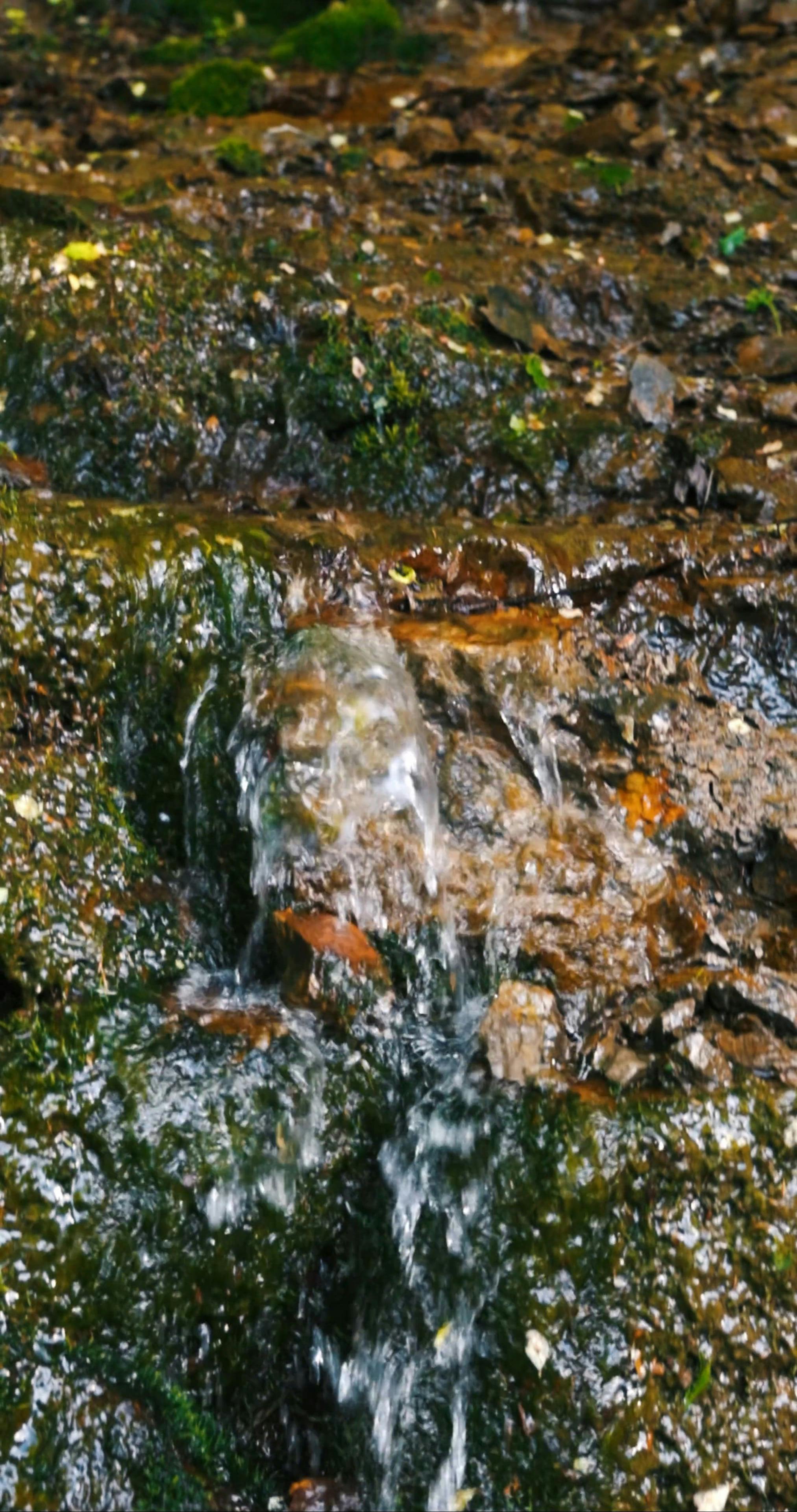 water flowing over mossy rocks 8348125
