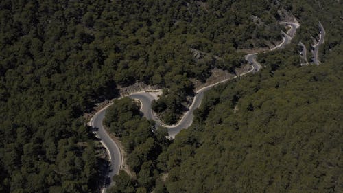 Drone Footage of a Zigzag Road Across a Forest