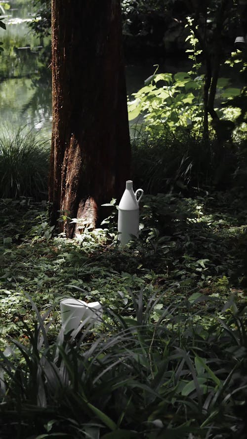 Milk Bottle Beside a Tree