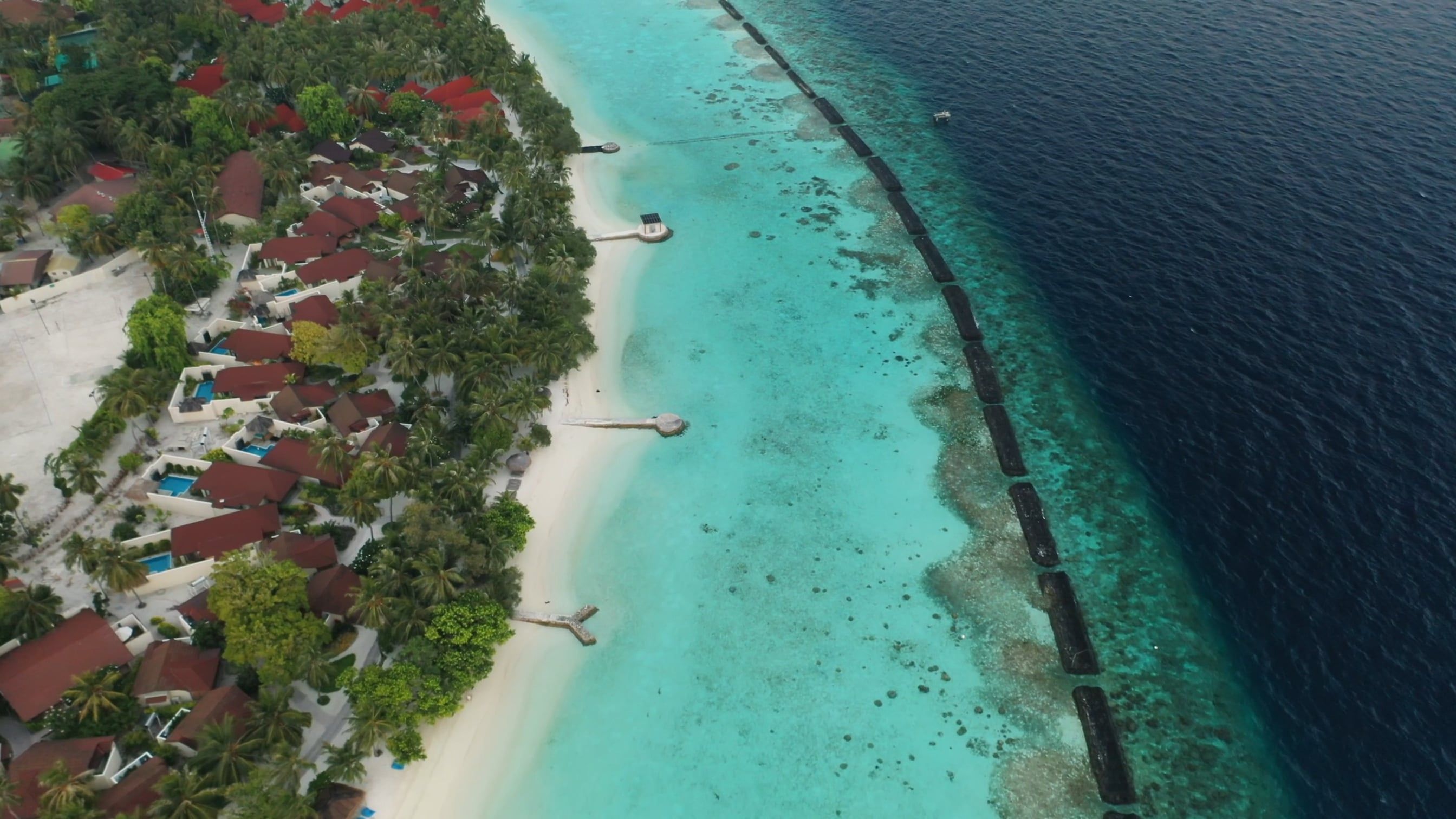 Drone Footage of a Beach Shoreline Free Stock Video Footage, Royalty ...