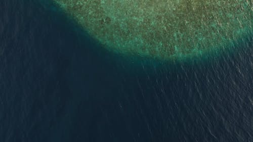 Aerial Footage of a Beach