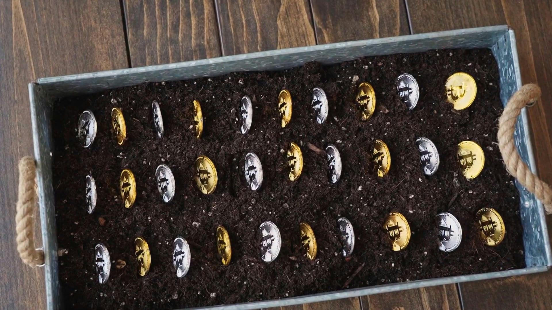 Video by RDNE Stock project