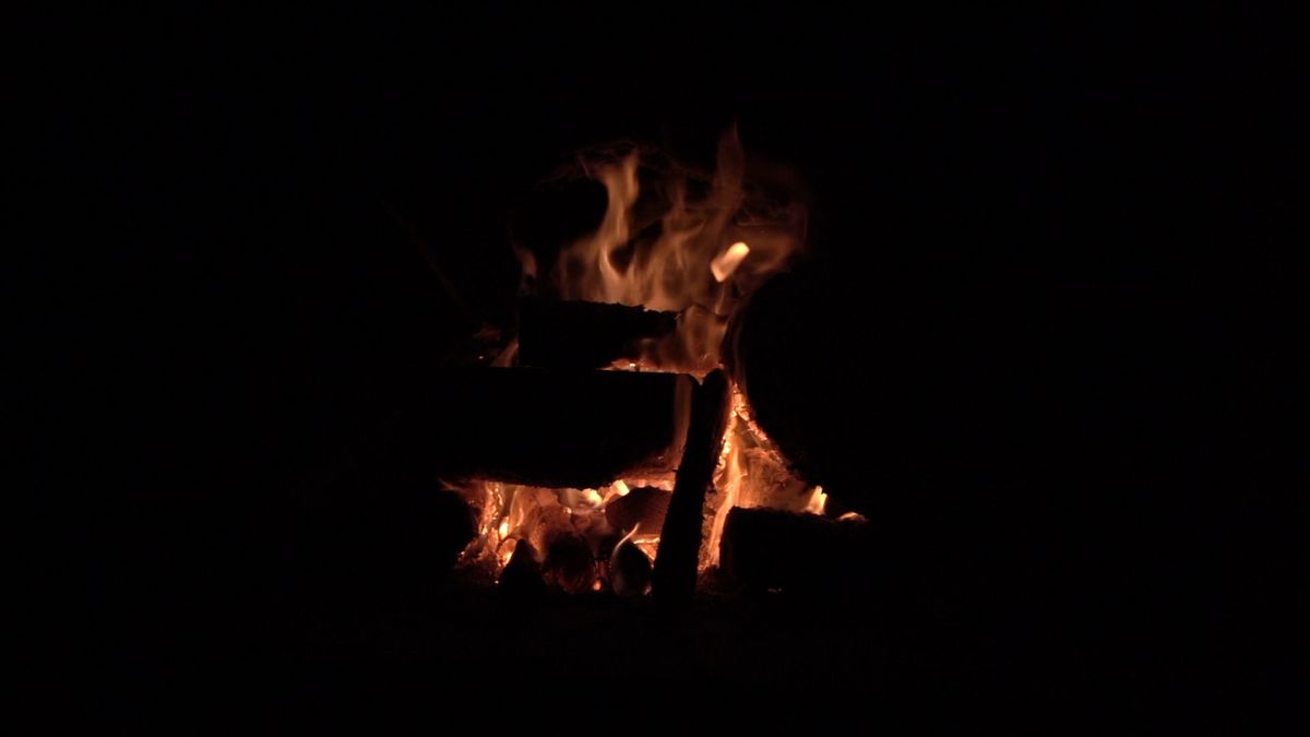 Close-up Footage Of Burning Fire Woods Free Stock Video Footage ...