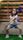 funny dance