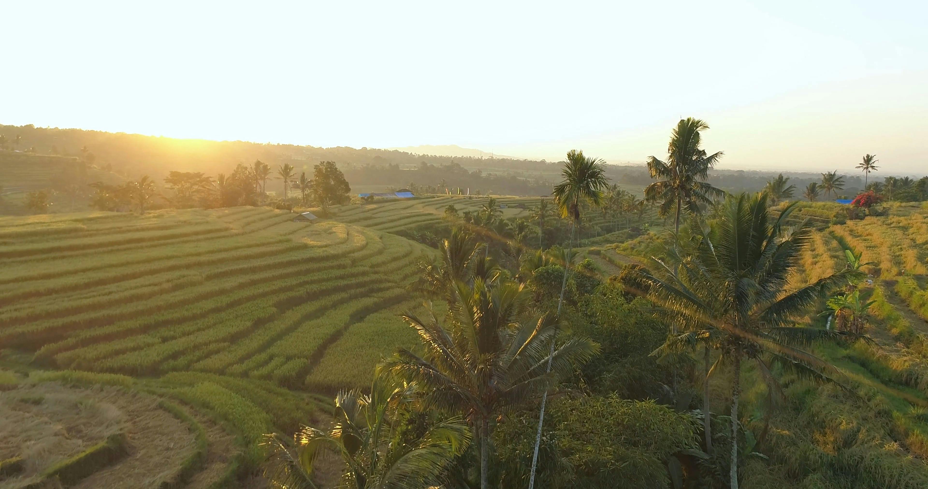 Video by Mikhail Nilov