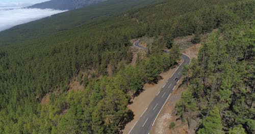 Drone Footage of a Road in the Countryside