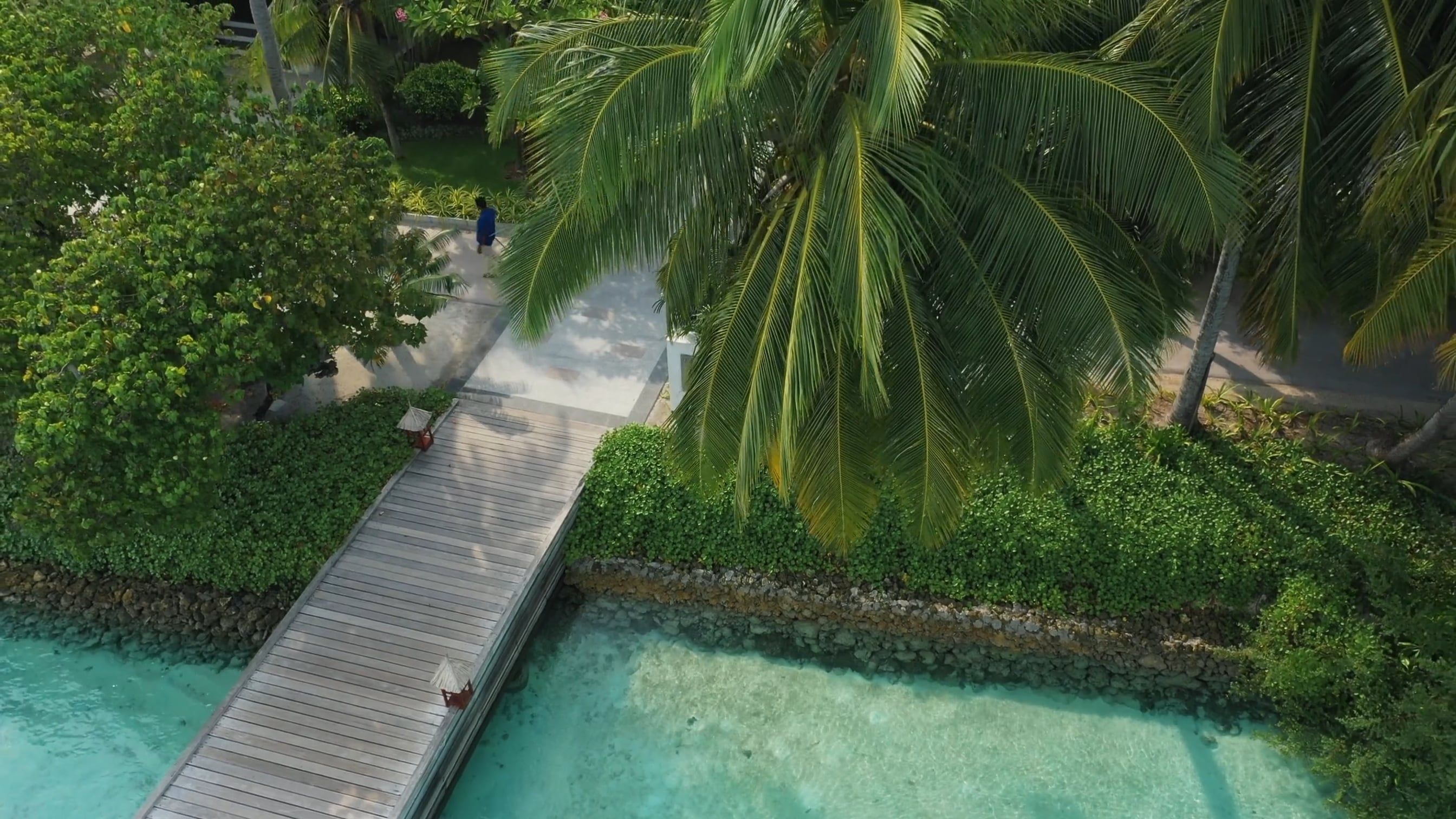 Drone Footage of a Tropical Resort Free Stock Video Footage, Royalty ...
