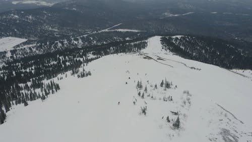 Aerial Video of People Snowboarding 