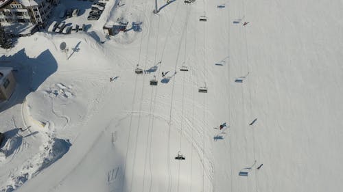 People at a Ski Resort