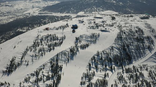 Drone Footage of People at a Ski Resort