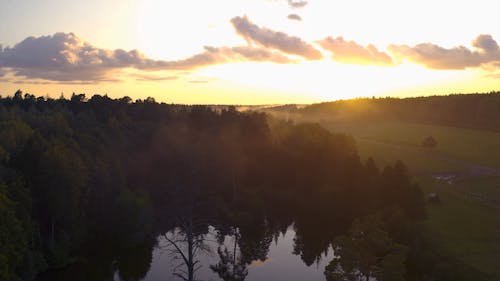 Drone Footage of a Forest Sunset
